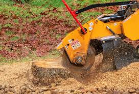 Reliable New Rockford, ND  Tree Services Solutions